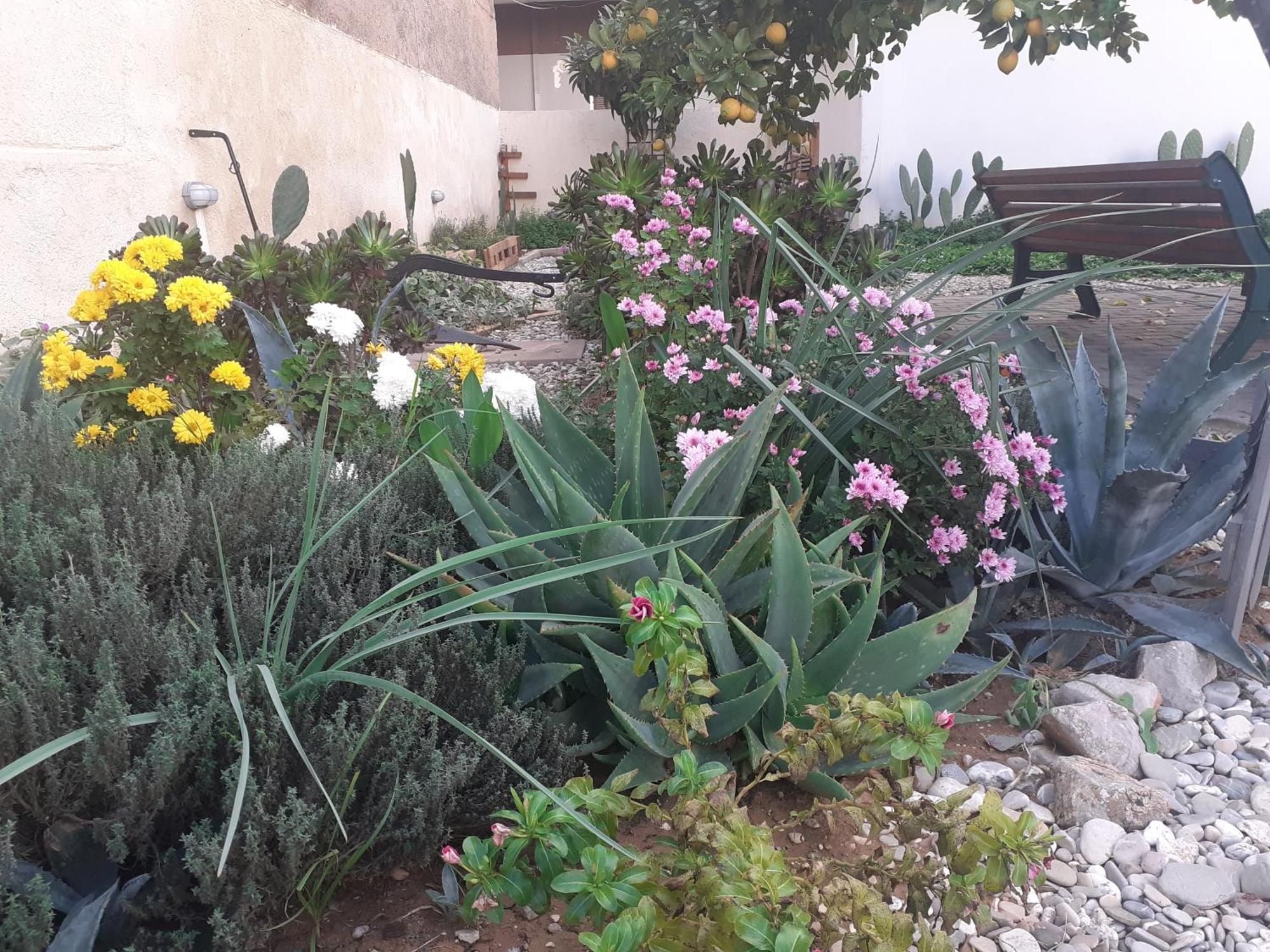 Вилла Michael'S Greek House Аргос Экстерьер фото